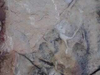 strong rock For the background, it conveys the grandeur of nature.