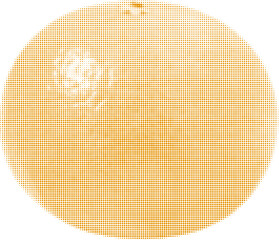 mandarin whole one, isolated on white background