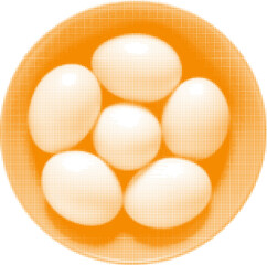 chicken eggs raw while in bowl, top view, isolated on white background