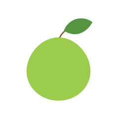 Lime icon vector. Fruits illustration sign. Vitamins symbol. Vegetarian logo. Food mark.