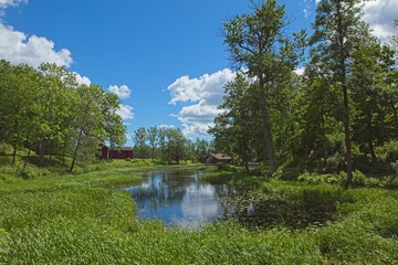 Small lake in sunny summer weather.