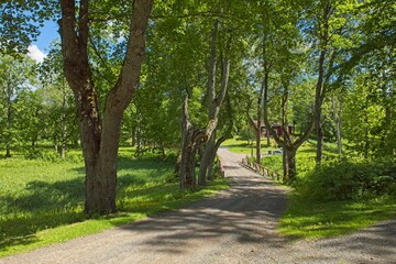 Gravel winding curve road with bridge on a sunny summer day.