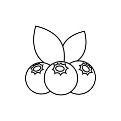 Blueberry icon vector. Fruits illustration sign. Vitamins symbol. Vegetarian logo. Food mark.
