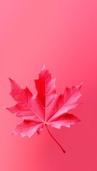 4K Colorful leaf AMOLED Wallpaper for Mobile Created with generative Ai	
