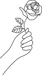Hand holding rose line art. Woman's hand holding a rose, illustration.