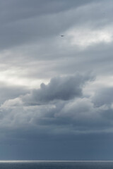 入道雲と飛行機
