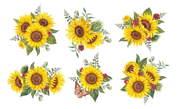 Sunflower clipart. Watercolor floral illustrations. Sunflowers bouquet. Yellow flowers for rustic wedding design, thanksgiving decoration, scrapbooking. Elements isolated on transparent background