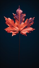 4K Colorful leaf AMOLED Wallpaper for Mobile Created with generative Ai