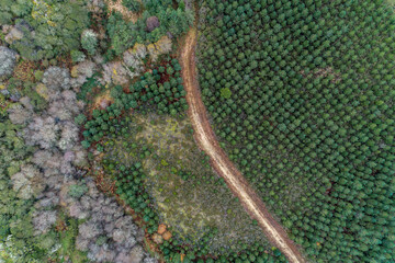 aerial drone view of a mountain dirt track
