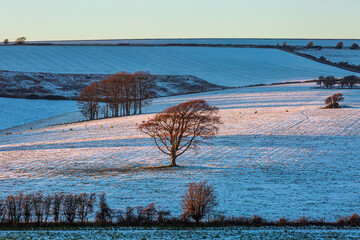 A view over snow covered fields near Ditchling Beacon in Sussex, with evening light
