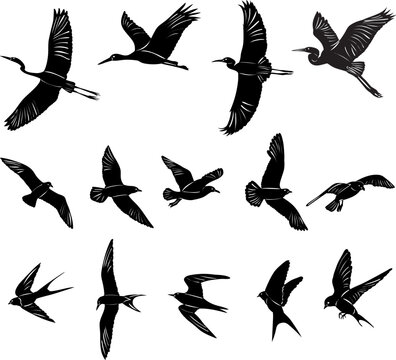 set of flying birds, silhouette, vector