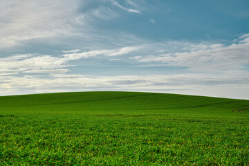 beautiful unobstructed view of a lush green field under a friendly blue, partly cloudy sky,...