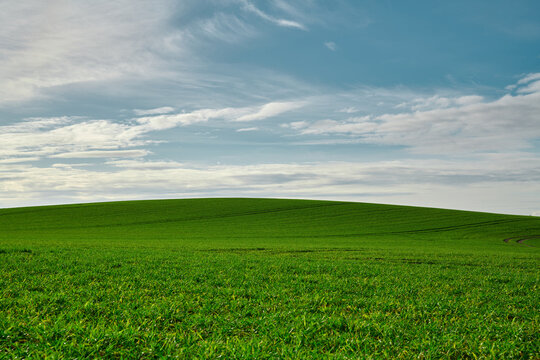 beautiful unobstructed view of a lush green field under a friendly blue, partly cloudy sky, screensaver, windows xp