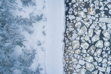 Nature of Estonia in winter. Seashore with snow-covered pine trees and sea with ice floes. Drone...