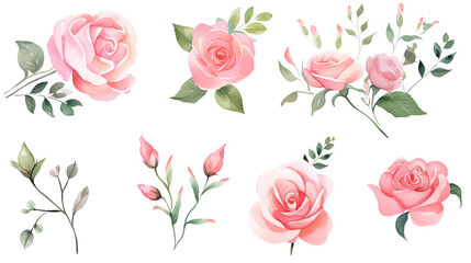 Watercolor elements pink, red and blue roses on a white background