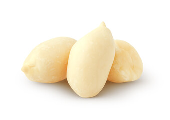 Isolated group of peanuts. Three peeled paenut isolated on white background