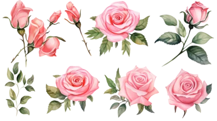 Gordijnen Watercolor elements pink, red and blue roses on a white background © WARIT_S