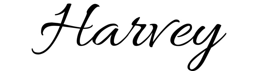 Harvey - black color - name - ideal for websites, emails, presentations, greetings, banners, cards, books, t-shirt, sweatshirt, prints, cricut, silhouette,	