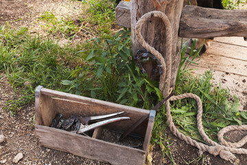 Fototapeta na wymiar Horse shoeing tools lay in a wooden toolbox on a farm