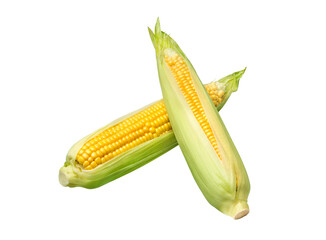 Corn on white