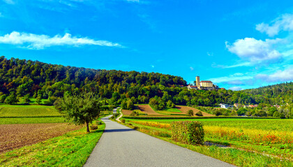 Neckarmühlbach/Haßmersheim im Neckar-Odenwald-Kreis (Baden Württemberg)
