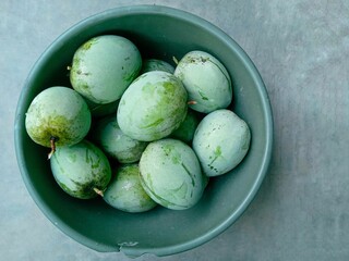 pile of mangoes in a bowl on a gray background. mangoes harvested from the garden. the mango had just been picked from the tree in the morning. fresh and sweet tropical fruit