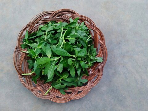 kerma leaves on wooden plate on gray background. Kerma leaves or alternanthera Sessilis is a weed vegetable that increases stamina. herbaceous vegetables