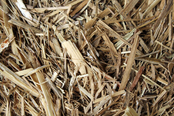Close up textured background of sugar cane mulch hay straw