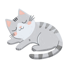 vector illustration of kitty sleeping, cat sleeping