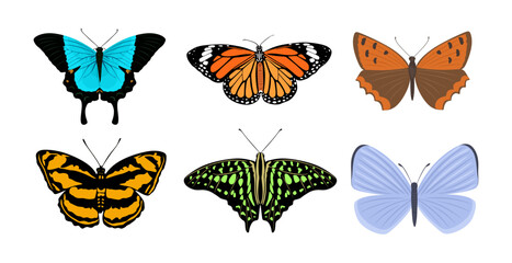 Set of tropical elegant butterflies with colorful wings. Collection of Gorgeous exotic moth or insects, top view. Cute cartoon tropical butterflies isolated. Colorful flat vector illustration isolated