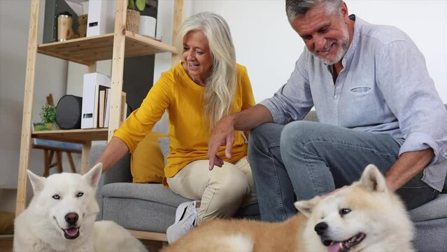 married senior couple petting their dogs on the couch