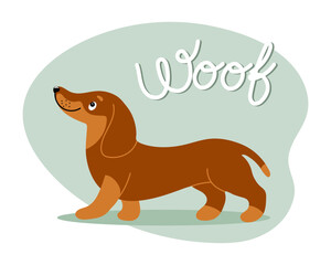 Cartoon funny dachshund dog and the word Woof. Flat style illustration, childrens print, postcard, vector