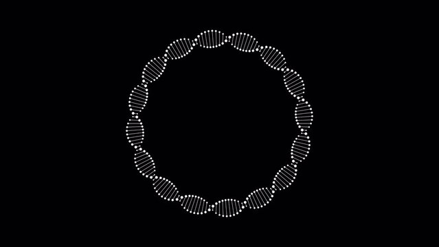 Vector genetic abstract video with alpha channel. White color circle of DNA rotating in loop. Design element for education, healthcare, medicine, science banner template.