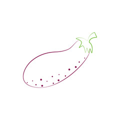 Eggplant coloring book. Ripe purple eggplant. Fresh vegetable garden. An image of an eggplant for a children s coloring book. Vector illustration on a white background