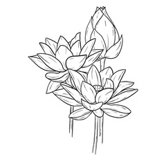 Line art Folwer Freehand 