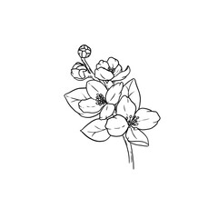 Line art Folwer Freehand 