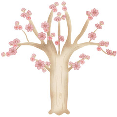 Watercolor Japan travel clipart concept sakura cherry blossom flower 