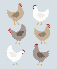 Chicken set, hens in various colors.