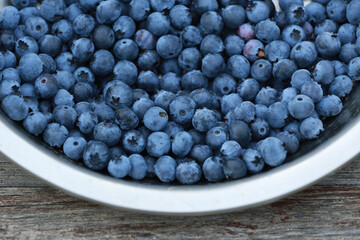 Freshly picked blueberries. Juicy and fresh blueberries. Blueberries on a green background. Blueberries are an antioxidant. The concept of healthy