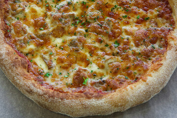 Hot pizza with mozzarella cheese and green basil close-up