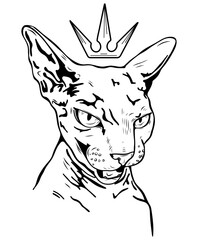 Sphynx cat in a crown. Aggressive animal, angry pet, head, portrait. Black and white illustration, tattoo. Vector image isolated on white background