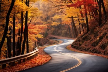 winding road in autumn forest with natural light on beautiful day