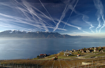 Lavaux, canton Vaud, Switzerland, Europe - Lavaux Vineyards - UNESCO World Heritage Site, Swiss Riviera, Geneva Lake, view for French Alps on the other side of the lake
