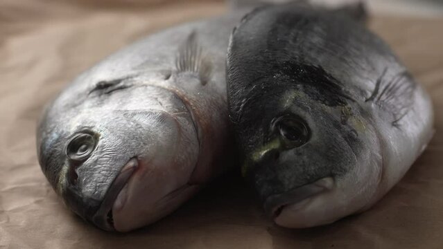 Two fresh fish rotate into view on a paper-covered surface. Selective focus, close-up.