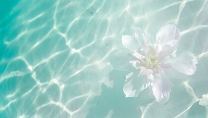 夏の思い出（水面、白い花） - obrazy, fototapety, plakaty
