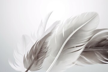 Beautiful abstract gray and white feathers on white background. Generative AI
