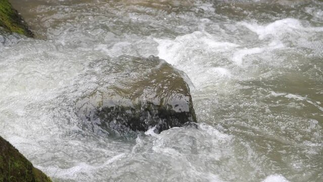 Water flow of a mountain river in the forest, slow mo, Carpathians, Ukraine