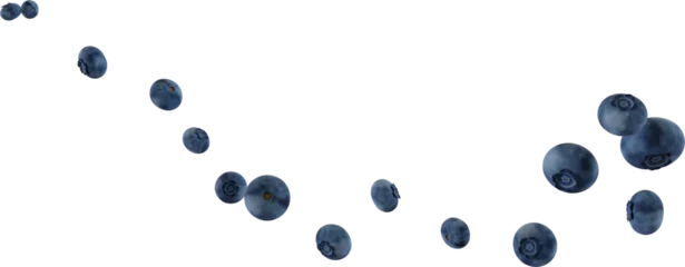 Fotobehang flying blueberry fruit © Arasigner
