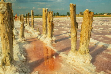 Salt lake with rose water and salt. Magnificent landscape of a salt lake. wooden posts covered with...