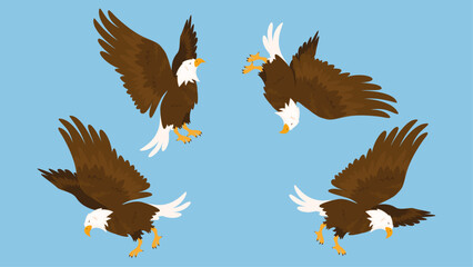 Bald Eagle. Vector illustration of an american eagle flying.